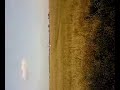 sam running crazy