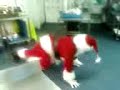 Mike Hutcherson is : Dancing Santa!