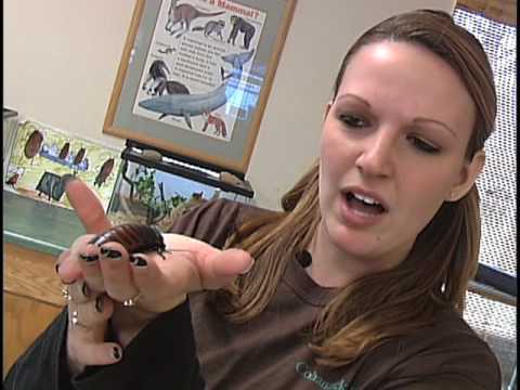 how to become zookeeper