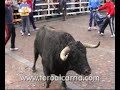 El Carnaval del Toro en Ciudad Rodrigo El Carnaval del Toro en Ciudad Rodrigo