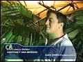 enseñame a olvidar los infieles