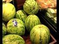 Datenschutz - Einkaufen mit Fingerabdruck Supermarkt (wm.tv)