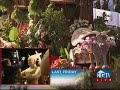 501st legion rose parade