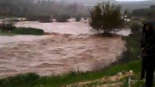 فيضان الوادي - Flood in palestine فيضان الوادي - Flood in palestine