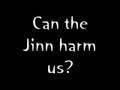 The Jinn..