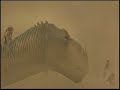 Dinosaur where\ Dinosaur where\