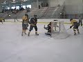 WICKED BACK DOOR HOCKEY GOAL:  hawkeyes