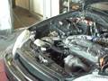 videos de civic hx turbo dyno