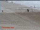 Sandnation Stoppie Crash Florence Or.