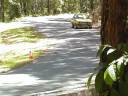 Ford Escort Mk2 RS2000 Noosa 2008
