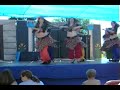 fuzzy-monkeys-medfest-2006.html
