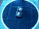 Parallax Sumobots