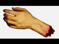 13 SEVERED HANDS!