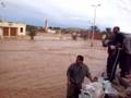 videos de inondation ghardaia