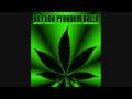 videos de DJ Slim 