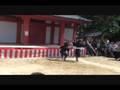 Bujinkan-Fuse-Benten