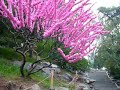 Day at Beihai Day at Beihai