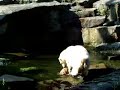 knut und der Jutesack 1