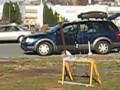 videos de Big_Turkey (11-2008).wmv