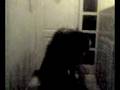 videos de la buba i la oso peleandosee!