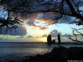 Pete Tong presents Lingua Franca  - Serendipity