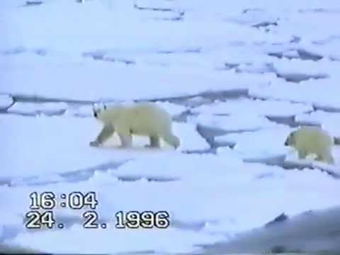 лодка щука у статуи свободы полная версия лодка махинатор у статуи свободы полная версия