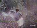 Lucio Battisti - Donde llega aquella zarza (1976)