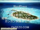 Google Adsense(????????????????