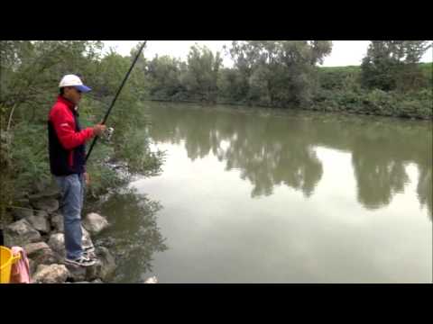 Italian Fishing Tv - Tubertini - Bolognese sul Mincio 
