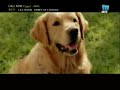 Rania Elkordy - 2ole le