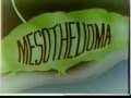 When Was Asbestos Banned