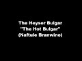 The_Heyser_Bulgar.wmv Steven Rosen ,viola and Richard Goering guitar