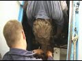 Shaft Packing