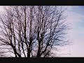Life Goes On - Winter Into Spring