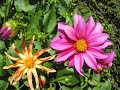 Nichiren Buddhism Chanting Music  by Alan Smallwood song 5