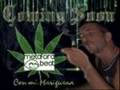 videos de dj trola marihuana
