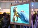 The year ahead in HDTV: faster, thinner, cheaper