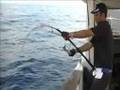 2 Amberjacks in Jigging