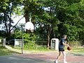Mankoff Jumpshot