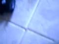 videos de las muy falsas aventuras de:letax y suvox