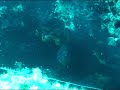 www.turkdivers.com