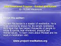Guided Meditation - Heal Emotional Trauma