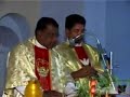 Fr.Jose Puthenveed speaking at a wedding mass