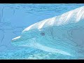 Diffusion-Curves