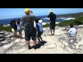 greenpatch-4.mp4