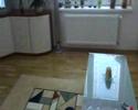 Domaca pohoda - Comfily at home