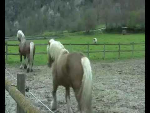 See video