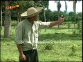 REFLEXION  CAMBA  (Benigno Mercado Gilmet)