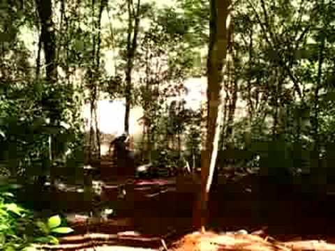 Maleny Trail Ride 2008
