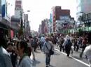 Tokyo Sanja Matsuri 1/4